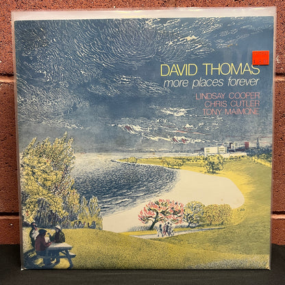 Used Vinyl: David Thomas "More Places Forever" LP