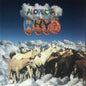 [Used LP] Why? / Alopecia