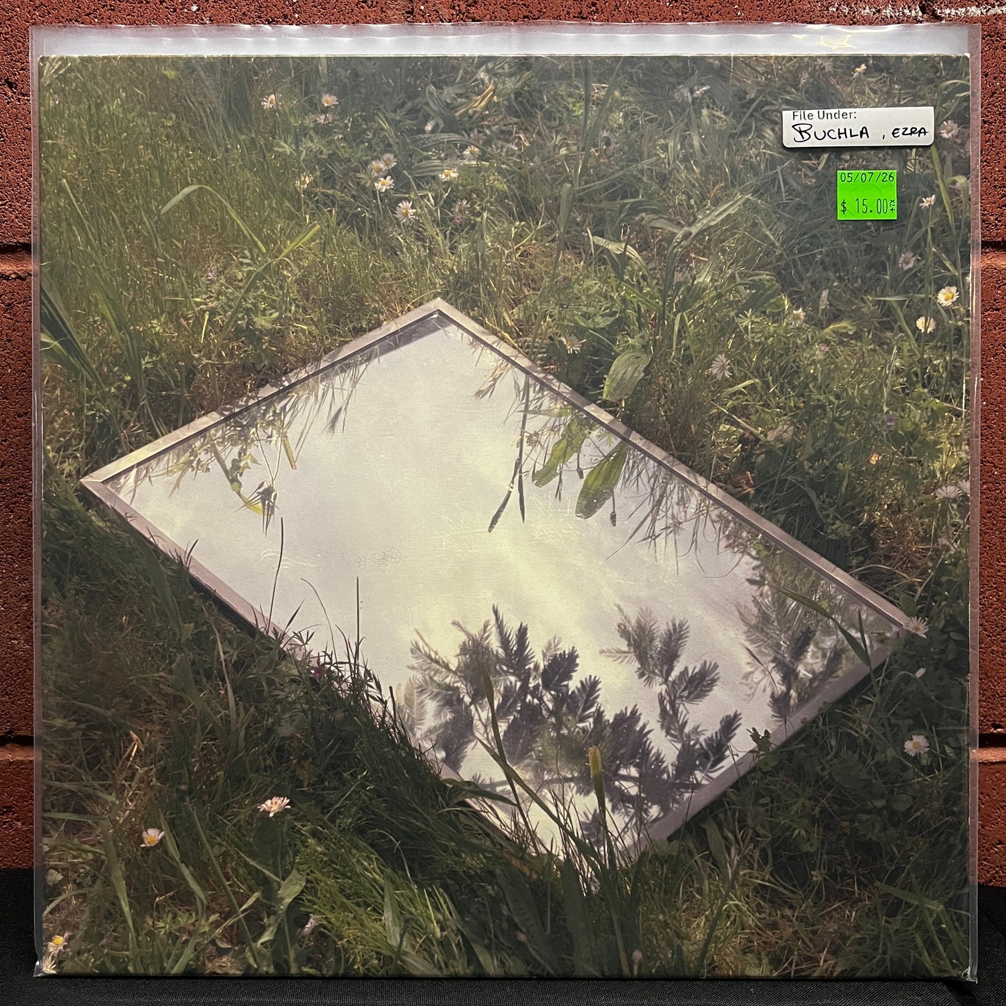 Used Vinyl: Ezra Buchla "At The Door" LP