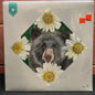 Used Vinyl: The National "Cherry Tree Vol.5" 2xLP (Sea Foam Green Vinyl - Sealed!)