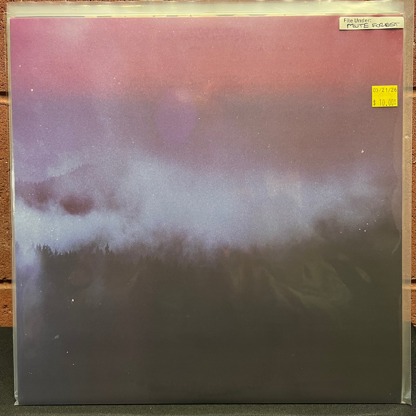 Used Vinyl: Mute Forest "Riderstorm" LP (2020 Press)