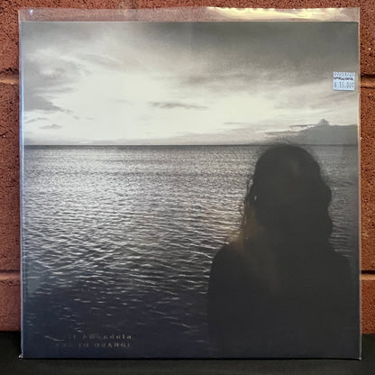 Used Vinyl: Scott Amendola "Fade To Orange" LP