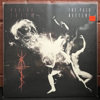 Used Vinyl: Baring Teeth "The Path Narrows" LP