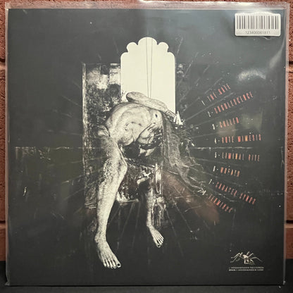 Used Vinyl: Baring Teeth "The Path Narrows" LP