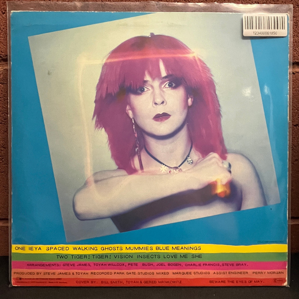 Used Vinyl: Toyah "The Blues Meaning" LP (1980 UK Press)