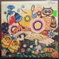 Used Vinyl: Silver Apples "The Garden" 2xLP (2006 Canadian Press)