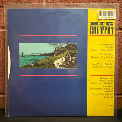 Used Vinyl: Big Country "In A Big Country" 12"