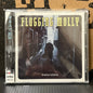 Used CD: Flogging Molly "Drunken Lullabies" CD (Japanese Press)