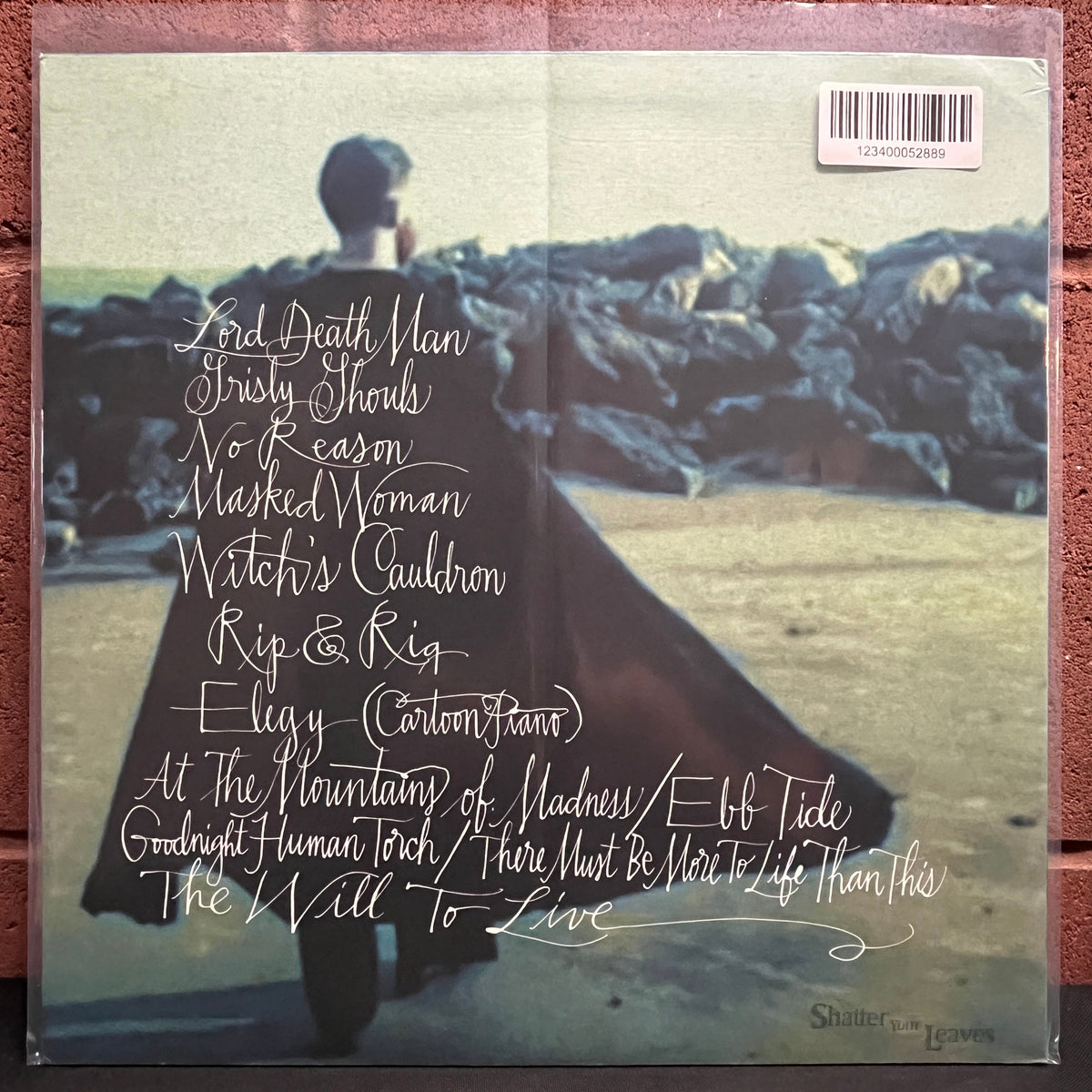Used Vinyl: Sam Mickens "Slay and Slake" LP
