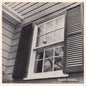 Beach Fossils "What A Pleasure" LP