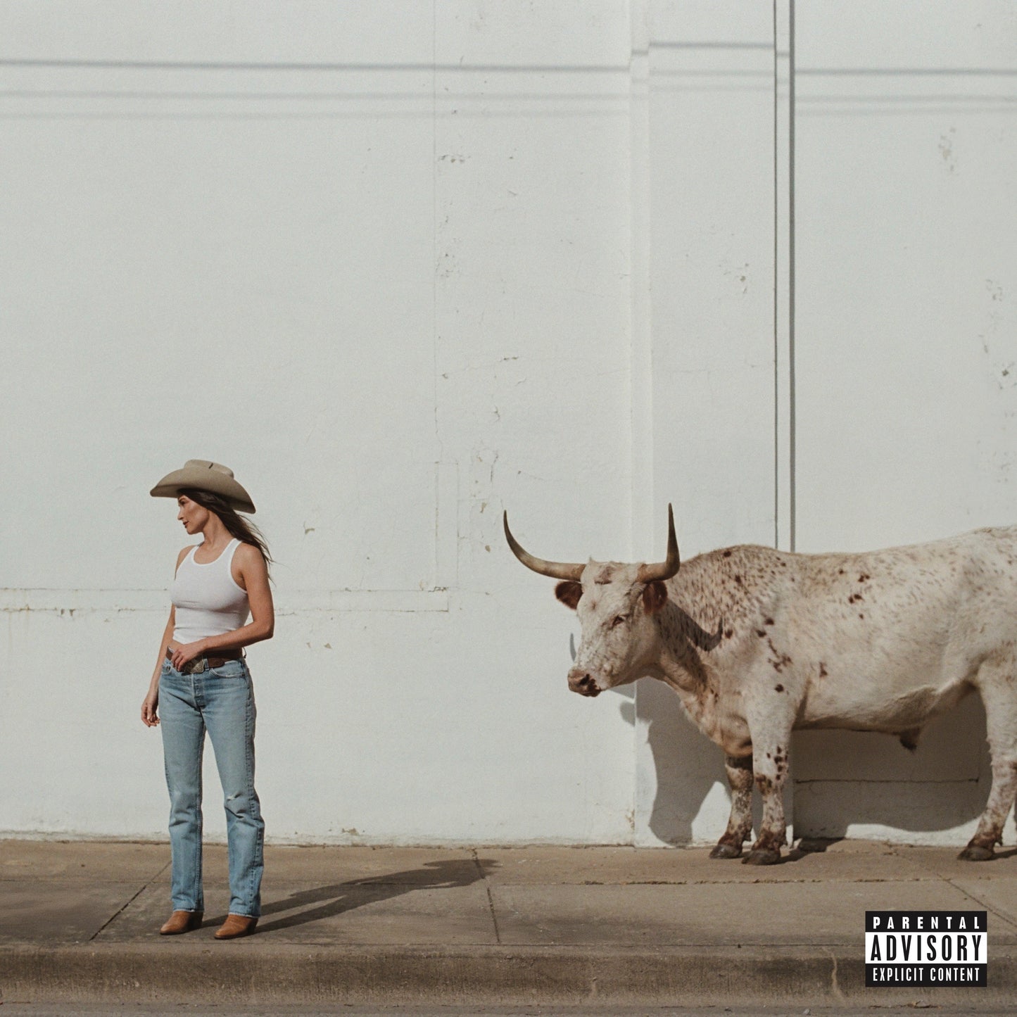 Kacey Musgraves - Middle Of Nowhere - LP