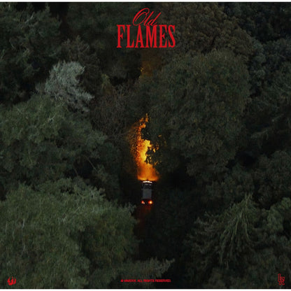 [Pre Order] La Roux - Old Flames - Indie LP *