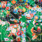 Give/Electric Flower Circus [LP]