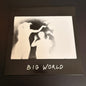 Happy Diving "Big World" LP