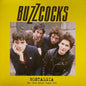 Used Vinyl: Buzzcocks "Nostalgia "Love Bites 1978 demos" LP (Blue Vinyl)