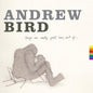 Andrew Bird "Things Are Really Great Here, Sort Of..." LP