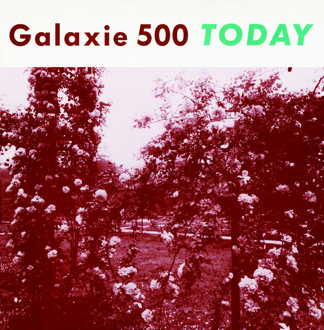 Galaxie 500 "Today" LP