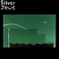 Silver Jews/The Natural Bridge [LP]