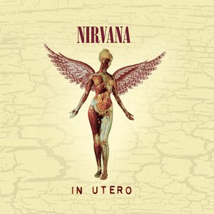 Nirvana/In Utero (30th Ann. 8LP Deluxe Boxset) [LP]