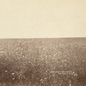 Milk Carton Kids/The Ash & Clay [LP]