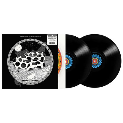[Pre Order] Modest Mouse - An Eraser and a Maze - LP *