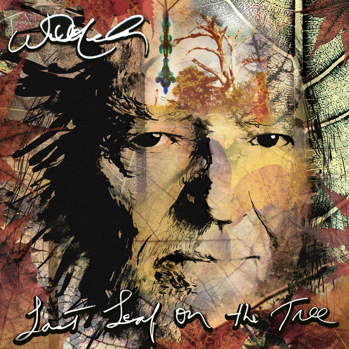Willie Nelson - Last Leaf on the Tree - LP