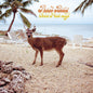 Fruit Bats - Gold Past Life - LP