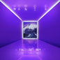 Fall Out Boy - MANIA - LP