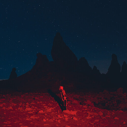 Phoebe Bridgers - Punisher - LP
