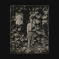 Tyler Childers - Long Violent History - LP