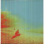 The Flaming Lips - The Terror - LP